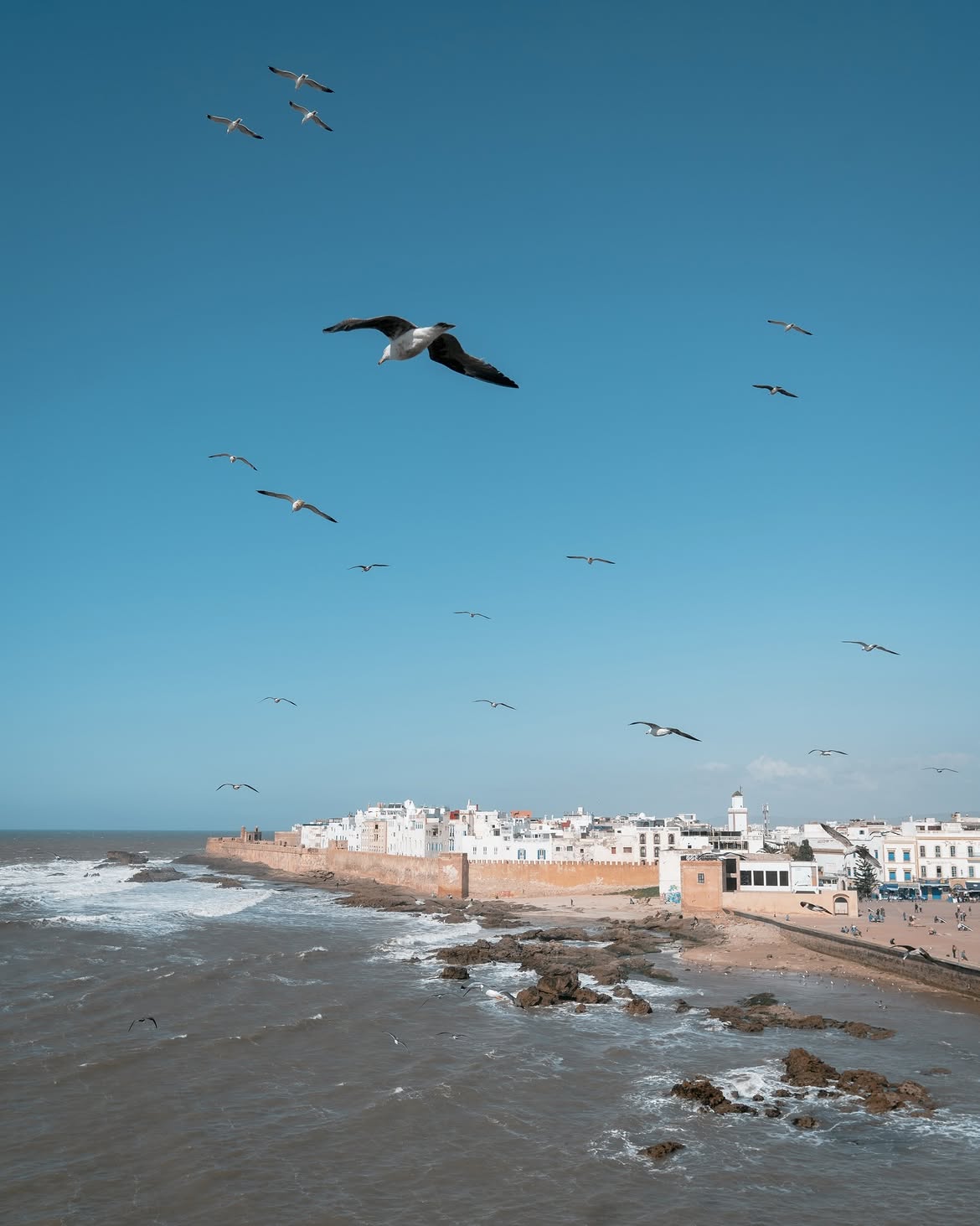 Whitewashed ramparts of Essaouira above the Atlantic coast of Morocco