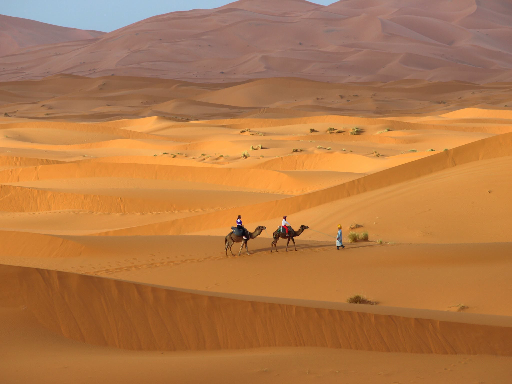 Camel caravan crossing the dunes of Erg Chebbi in the Moroccan Sahara