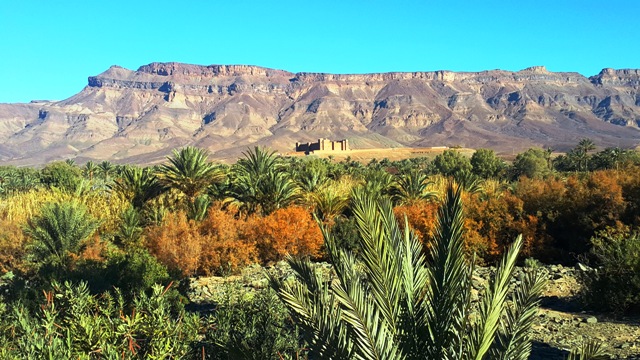 Top Morocco Desert Tours