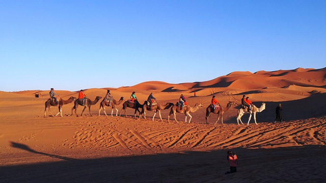 3-day Marrakech to Fez desert tour