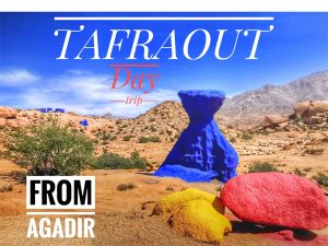 Agadir to Tafraout day trip
