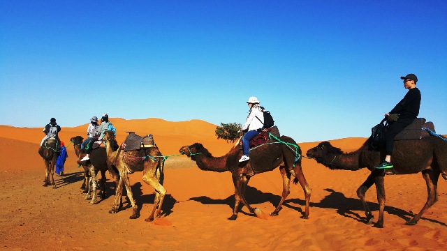 Top Morocco Desert tours