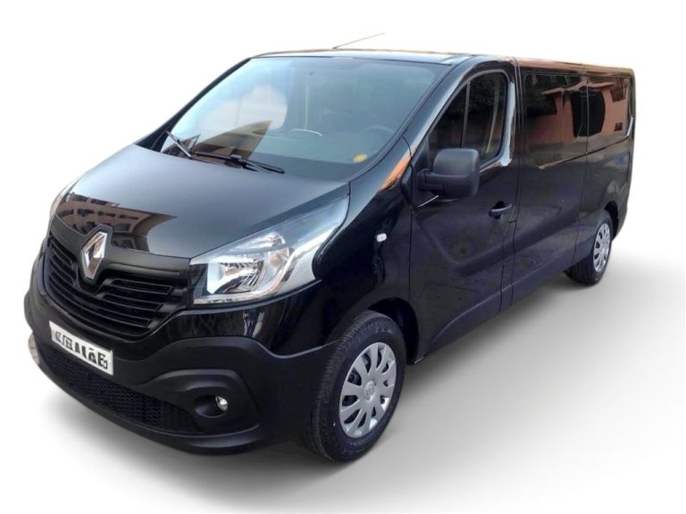 VAN RENAULT TRAFFIC