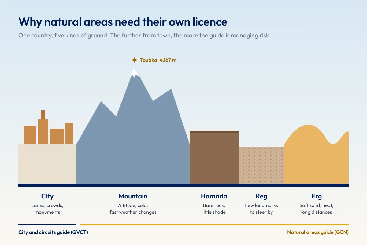 Cross-section of Moroccan terrain from city to High Atlas mountains, hamada, reg and erg dunes, showing which guide licence covers each